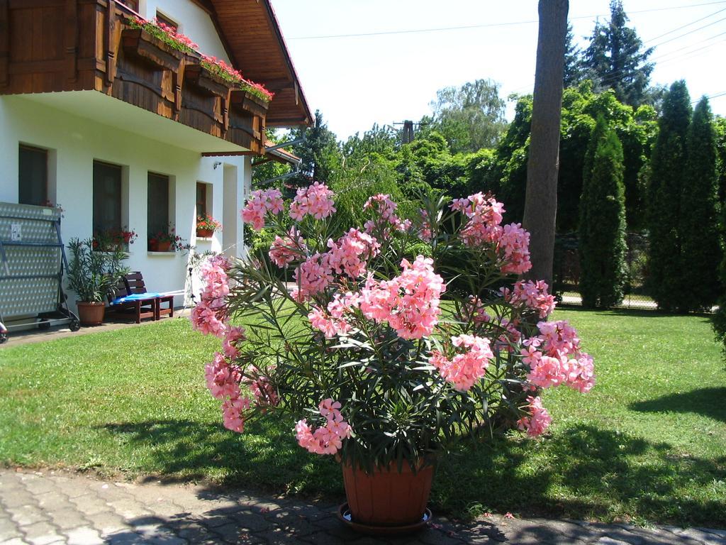 Sommer Panzio Balatonföldvár Exteriör bild